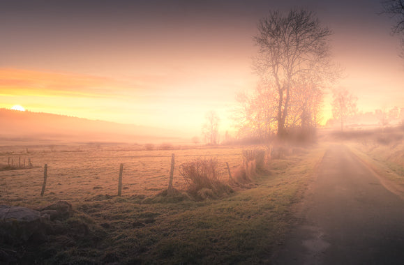 Matin brumeux. Tableau photo fine Art