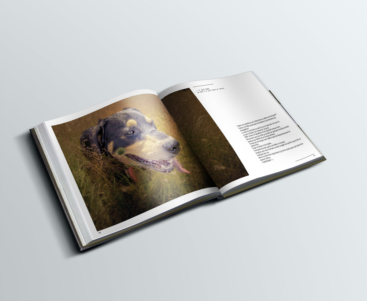 Livre  "Petit journal utopique d'un photographe bienveillant"