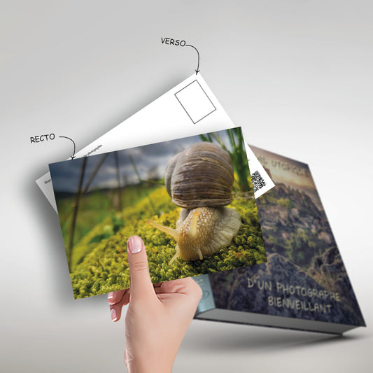 1 Carte postale "Eloge de la lenteur"   10 x1 5cm, image tirée du livre : "Petit journal utopique d'un photographe bienveillant"