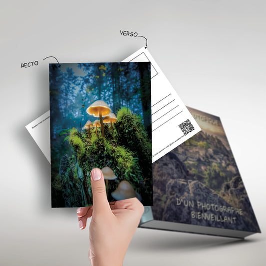 1 Carte postale "Rendez-vous au sommet" 10 x 15 cm, image tirée du livre : "Petit journal utopique d'un photographe bienveillant"