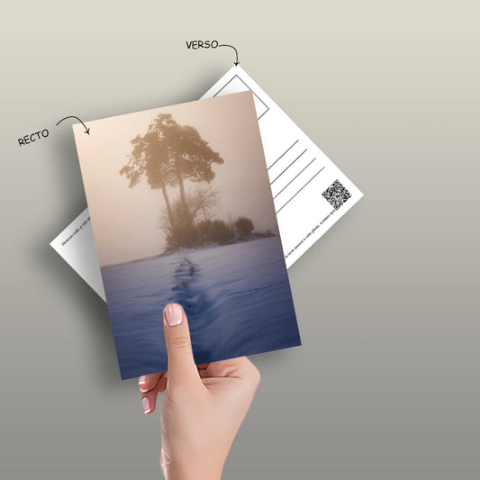 1 Carte postale "Horizon voilé"  10 x 15 cm, image tirée du livre : "Petit journal utopique d'un photographe bienveillant"