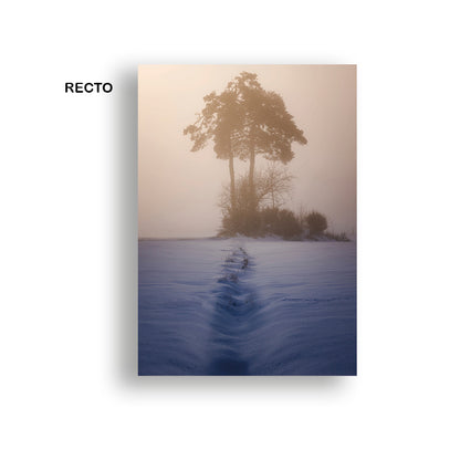 1 Carte postale "Horizon voilé"  10 x 15 cm, image tirée du livre : "Petit journal utopique d'un photographe bienveillant"
