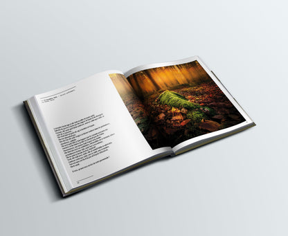 Livre  "Petit journal utopique d'un photographe bienveillant"